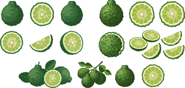 Set of fresh bergamot whole, half, and sliced with leaves, isolated on white background.