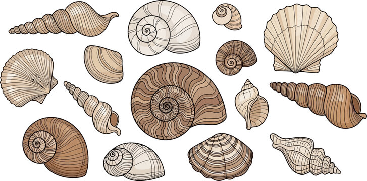 Adobe Illustrator Artwork