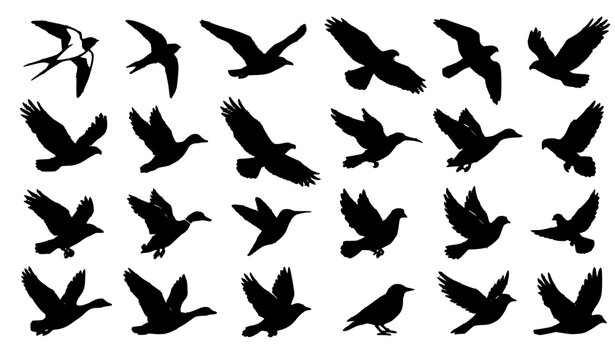 A clean minimal vector illustration set of flying bird silhouettes displayed in a balanced composition on a solid white background. The collection includes birds with spread wings, soaring birds, floc