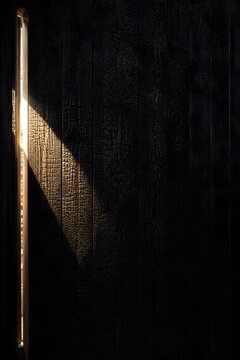 Minimalist Yakisugi Wall with Geometric Light and Copy Space
