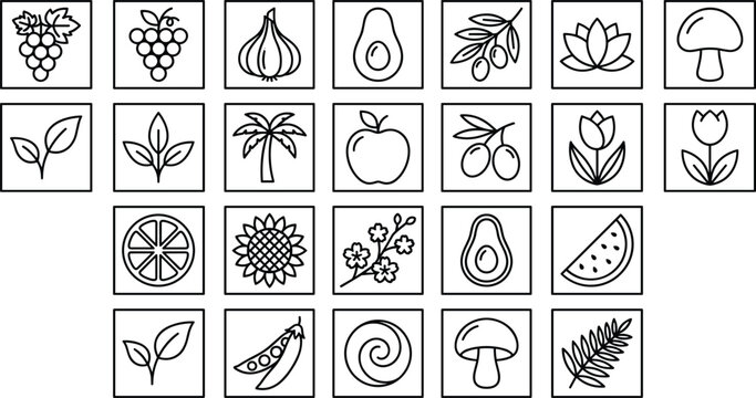 Natural organic ingredients and food line icons mega set with fruits vegetables plants mushroom vector