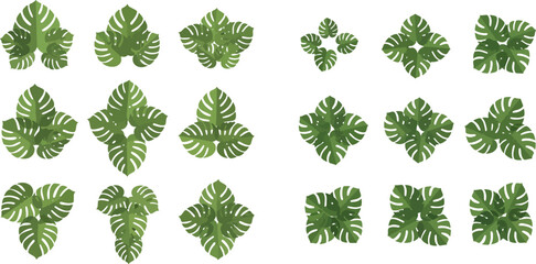 Set of various top view green tropical leaves, abstract decorative elements for architectural plans or landscape design. © Akun