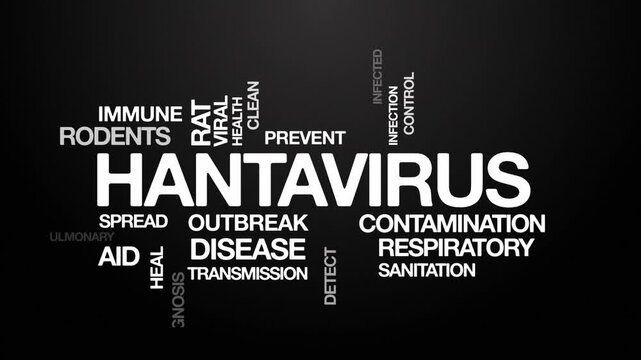hantavirus concept Animated Tag Word Cloud kinetic typography, Text Design Animation typography seamless loop video motion graphics Intro Wordart arrangement tagcloud black type on black background bg