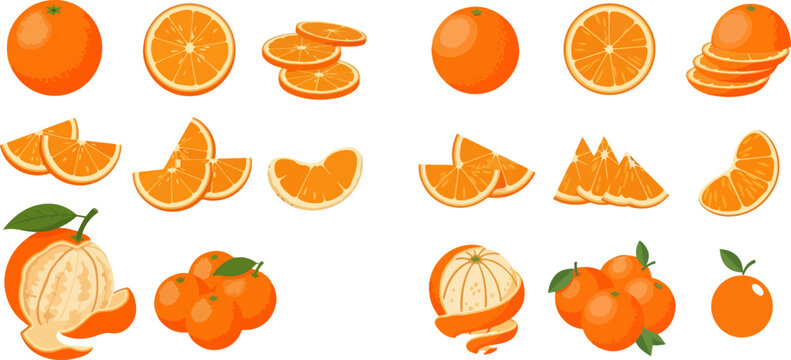 Set of fresh oranges in various forms: whole, sliced, peeled, and segmented, illustrating citrus fruit diversity.