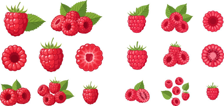 Set of fresh red raspberries with green leaves, whole and sliced, isolated on white background.