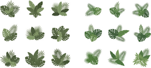 Collection of various tropical plants and foliage elements, perfect for design and decoration. © Akun