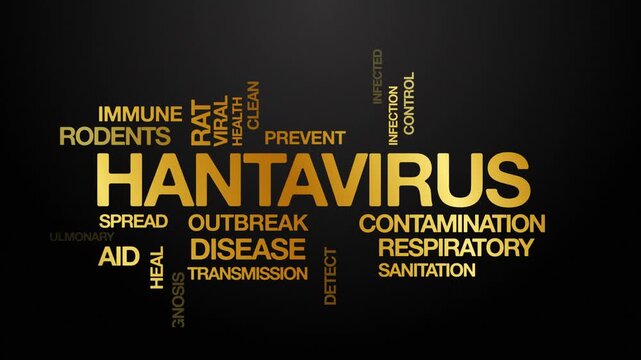 hantavirus concept Animated Tag Word Cloud kinetic typography, Text Design Animation typography seamless loop video motion graphics Intro Wordart arrangement tagcloud golden type on black background b