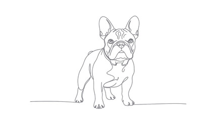 Fototapeta premium French Bulldog Line Art Drawing Minimalist Single Line Illustration