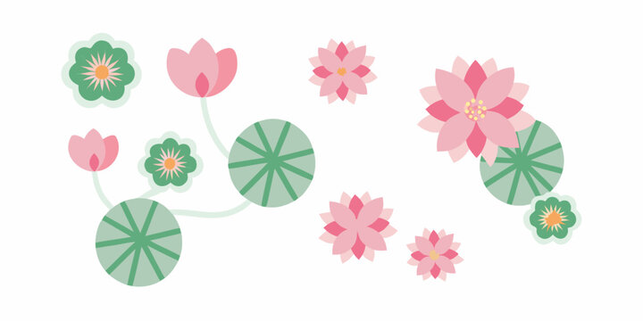 pink lotus flowers and lily pads flat vector illustration