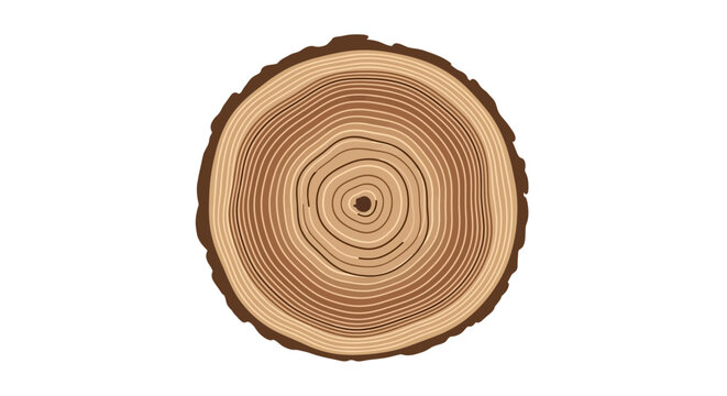 Tree Trunk Cross Section: Annual Rings, Bark Texture, Wood Grain - Isolated