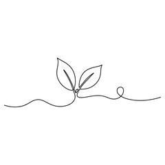 Web © Mst Sahera