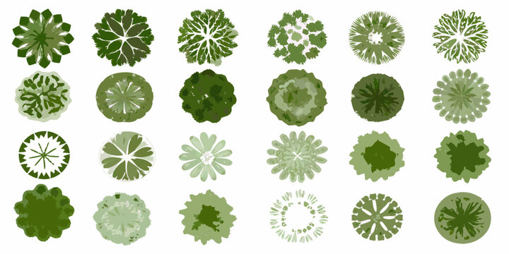 Collection of top down view trees aerial perspective vector illustration