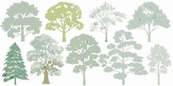 Tree silhouettes collection various shapes and foliage