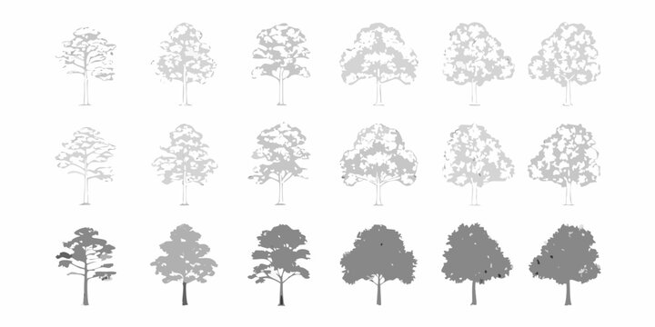 Deciduous trees silhouette set on white background