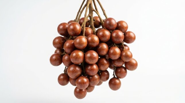 A beautiful bunch of fresh matoa fruit displaying a glossy surface and round shape isolated on white background, captures the essence of tropical harvest in a clean wide cinematic composition.