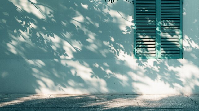 Green wooden window shutters on white wall with dramatic tree leaf dappled shadows sunlight texture