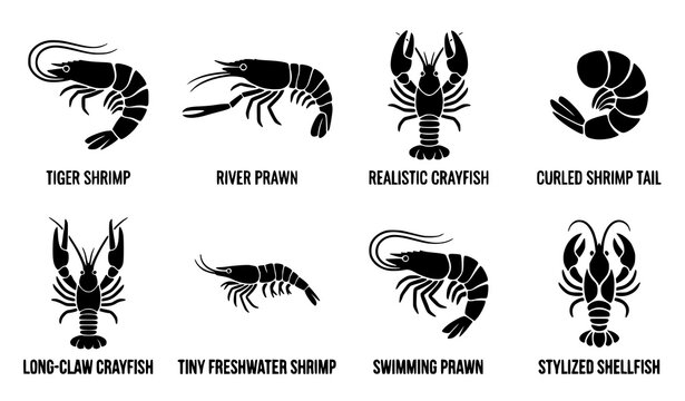 Minimal seafood crustacean silhouette icons featuring shrimp prawns and crayfish for commercial vector use