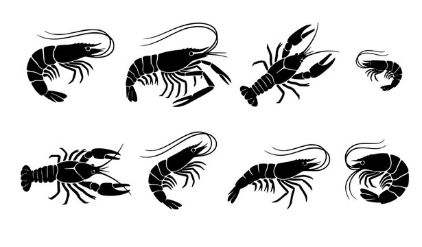shrimp, prawn, crayfish, crustacean, seafood, aquatic, marine, river, freshwater, shellfish, silhouette, vector, icon, animal, black, isolated, fishing, food, nature, tail, claws, antenna, collection,
