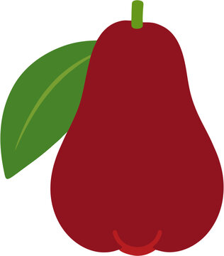 Tropical Fruit Jambo Vector Illustration