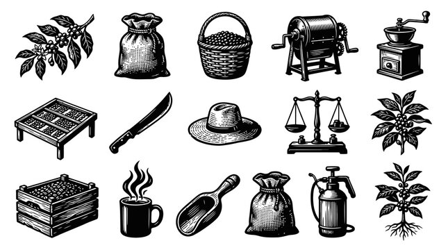 Coffee Industry Icons Set, Vintage Engraving Style. Coffee Beans, Plants, Tools and Equipment