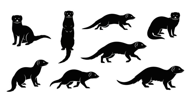 Collection of Mongoose Silhouettes in Various Poses on White Background