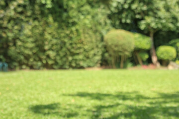 Fototapeta premium Abstract blur green park garden for background