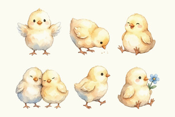 watercolor cute baby chick illustration © James