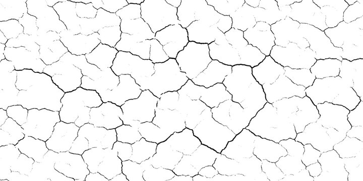 Cracked grunge texture with black lines on white background, Dry ground pattern, Cracked soil vector illustration