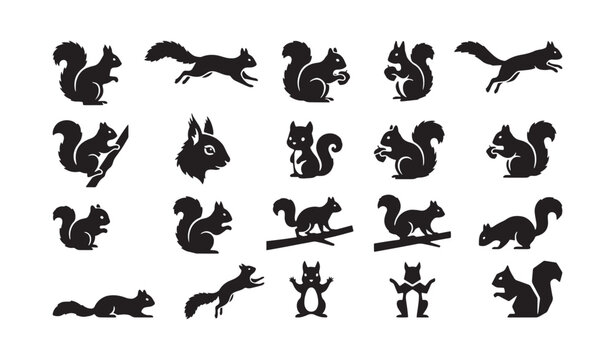 Cute Cartoon Squirrel Poses Silhouette Collection