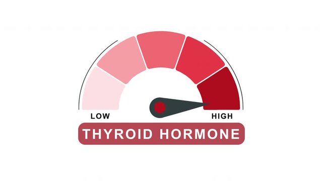 Thyroid Hormone Level Gauge Meter Animation Low to High Progress Indicator