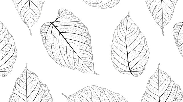 Botanical leaf vein line art pattern
