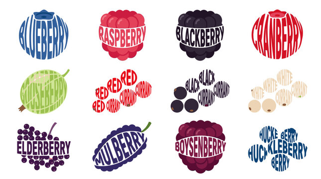Berry typography collection with blueberry, raspberry, blackberry, cranberry, mulberry, elderberry and huckleberry on white background