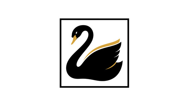 Black swan bird in profile view.