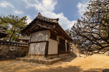 Obraz premium Traditional Korean hanok house architecture with blooming spring tree and blue sky.