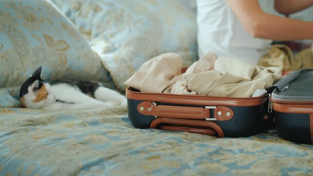 Woman packing suitcase on bed with playful cat, preparing for travel, dynamic motion footage.