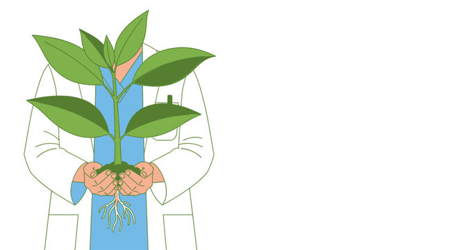 Doctor in lab coat holding a plant with roots, representing medical research and plant science innovation