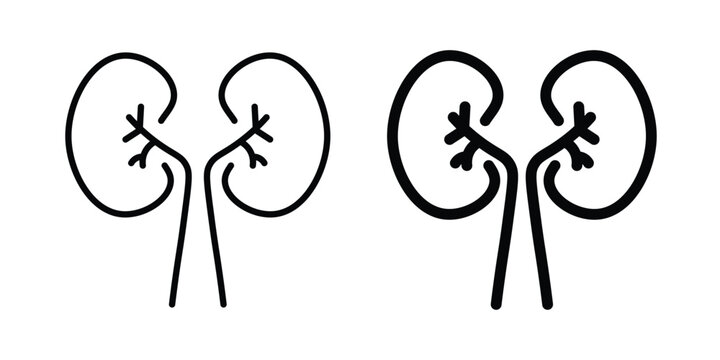 Kidneys icon symbol design vector illustration.