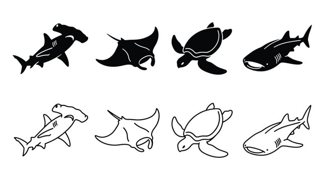 Set of marine animals silhouettes and outline icons, hammerhead shark, manta ray, sea turtle and whale shark, vector illustration