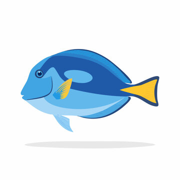 Blue Tang Fish Illustration