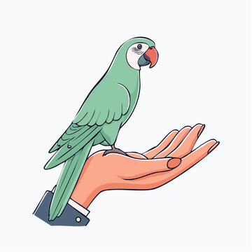 Green parrot perched on a human hand