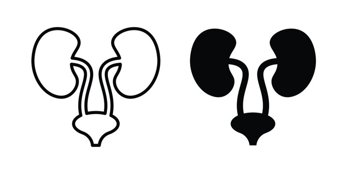 Urinary System icon symbol design vector illustration.