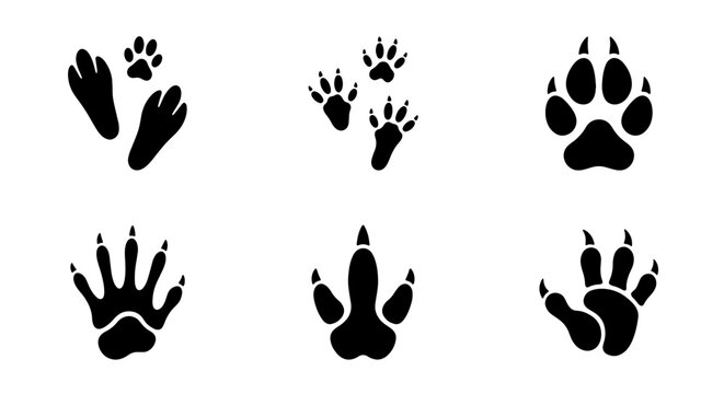 Diverse Animal Paw Print Vector Icons, Wildlife Footprint Silhouettes, Mammal Tracks Collection, Nature Trail Clipart Set