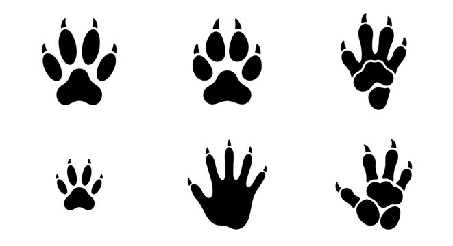 Animal Paw Prints Vector Icons Set, Wildlife Tracks Silhouette Collection, Mammal Footprints Graphic Elements for Nature and Outdoor Themes