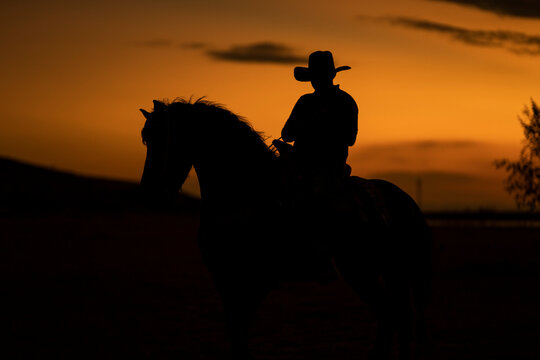 Vaqueros