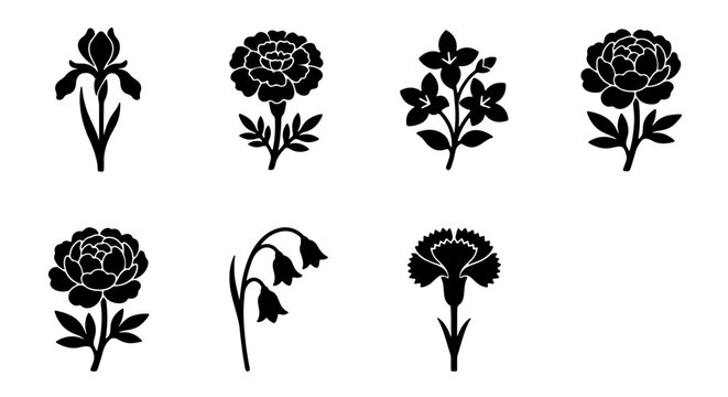 Elegant Black Flower Silhouettes, Vector Icons Set: Iris, Peony, Carnation, Lily of the Valley, Botanical Floral Graphics for Design