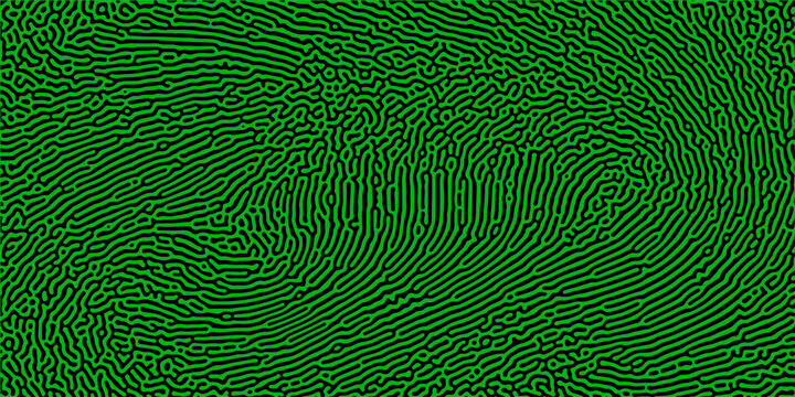 Seamless Reaction diffusion or turing pattern vector design caused by reaction&ndash;diffusion system similar to maze or coral pattern. organic and biological chemical reaction pattern