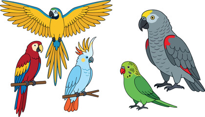 Exotic Parrot Bird Vector Set Featuring Macaw, Cockatoo, Budgerigar, and African Grey Parrot Isolated on White Background © DarparajDab