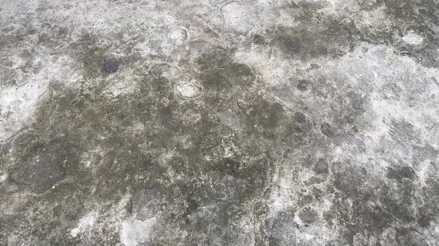 Aged damaged plaster wall background for video overlay