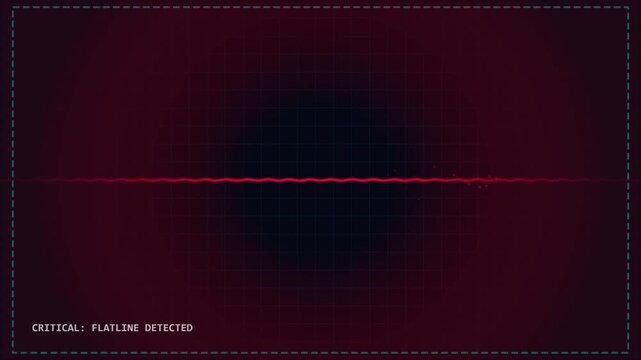 Medical heart monitor screen showing a stable rhythm and flatline status