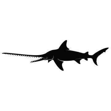 Sawfish, black silhouette, ocean predator, marine animal, vector illustration